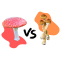 The Differences Between Amanita Muscaria and Psilocybin